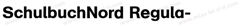 SchulbuchNord Regula字体转换